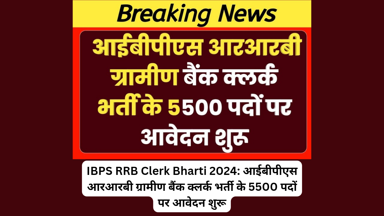 IBPS RRB Clerk Bharti 2024: आईबीपीएस आरआरबी ग्रामीण बैंक क्लर्क भर्ती के 5500 पदों पर आवेदन शुरू